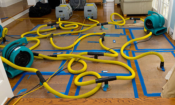 Professional Basement Flood Cleanup technician working in Conley, GA